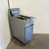 Trueheat RCF4-NG Fryer