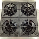 Goldstein PFB24 Cooktop