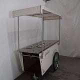 Tekneitalia Roma Gelato Cart