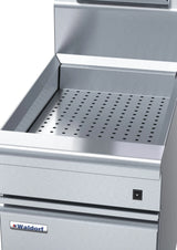 Waldorf 800 CS8450E, 450mm Chip Warmer